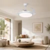 Ceiling Fan, APP, CCT, LED - view 6