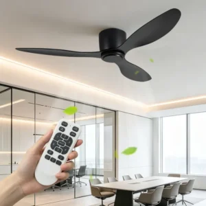Ceiling Fan, BLDC, 30W, abs, 52 Inch, DC Motor
