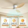 Ceiling Fan, BLDC, 30W, abs - view 4