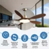 Ceiling Fan, BLDC, HYA4256 - view 2