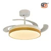 Ceiling Fan, BLDC, SD-CF023 - view 2