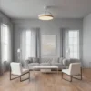 Ceiling Fan, BLDC, SD-CF023 - view 5