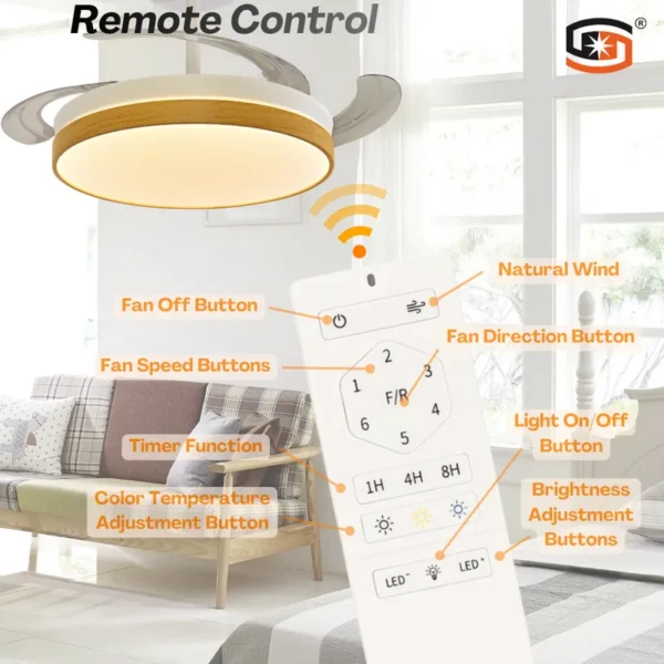 Ceiling Fan, CCT, SD-CF001 - view 2