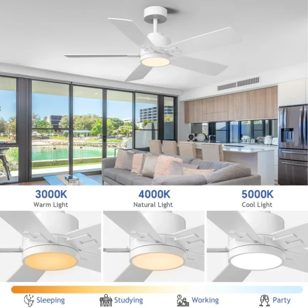 Ceiling Fan, DIY, BLDC - view 4