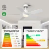 Ceiling Fan, DIY, BLDC - view 6