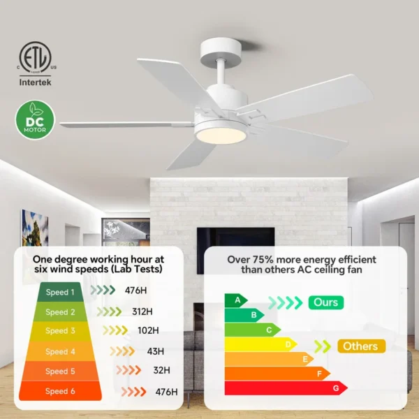 Ceiling Fan, DIY, BLDC - view 6