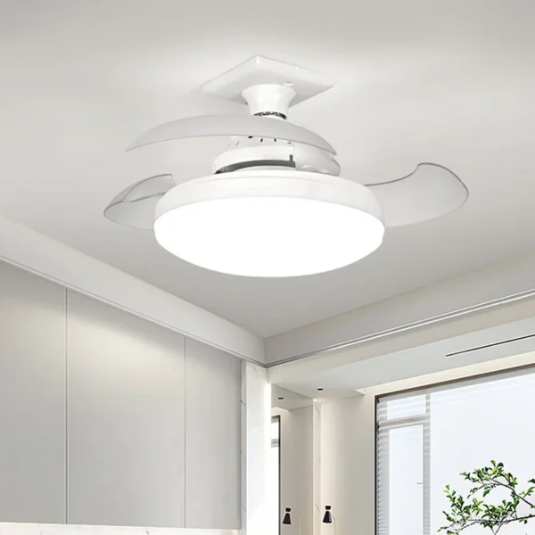 Ceiling Fan, E26, E27 - view 2