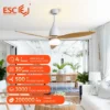 Ceiling Fan, Electric Power, DC 26W