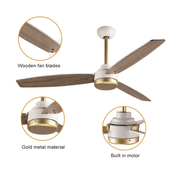 Ceiling Fan, FS11025 - view 3