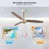 Ceiling Fan, FS11025 - view 5