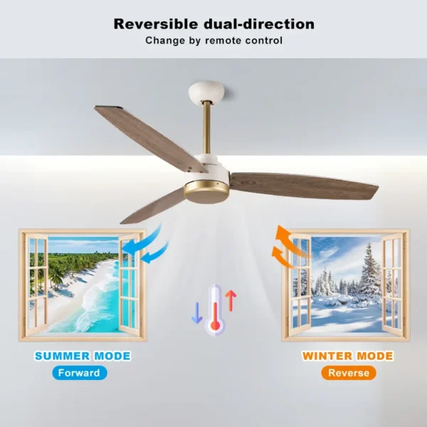 Ceiling Fan, FS11025 - view 5