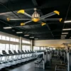 Ceiling Fan, HVLS, 220/380V