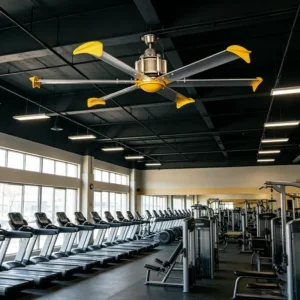 Ceiling Fan, HVLS, 220/380V