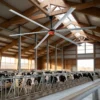 Ceiling Fan, HVLS, 220 V, Electric - view 3