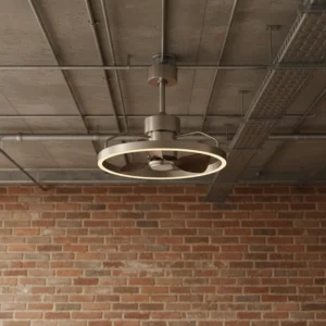 Ceiling Fan, LED, Ceiling Mount, 110-240V, DC Motor, 20 Inch