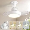 Ceiling Fan, LED