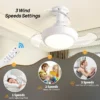 Ceiling Fan, LED - view 4