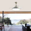 Ceiling Fan, LED, 110-220V, 35W - view 6