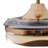 Ceiling Fan, LED, 220, 147 - view 5