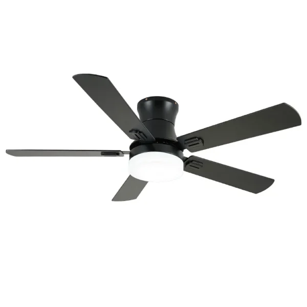 Ceiling Fan, LED, 220, 60