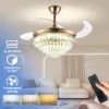 Ceiling Fan, LED, 22W - view 2