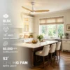 Ceiling Fan, LED, 6-Speed, 110V - view 4