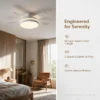 Ceiling Fan, LED, 6-Speed, 3-Color, CRI - view 2