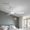 Ceiling Fan, LED, ABS