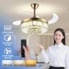 Ceiling Fan, LED, AC110_240V, 55W - view 5