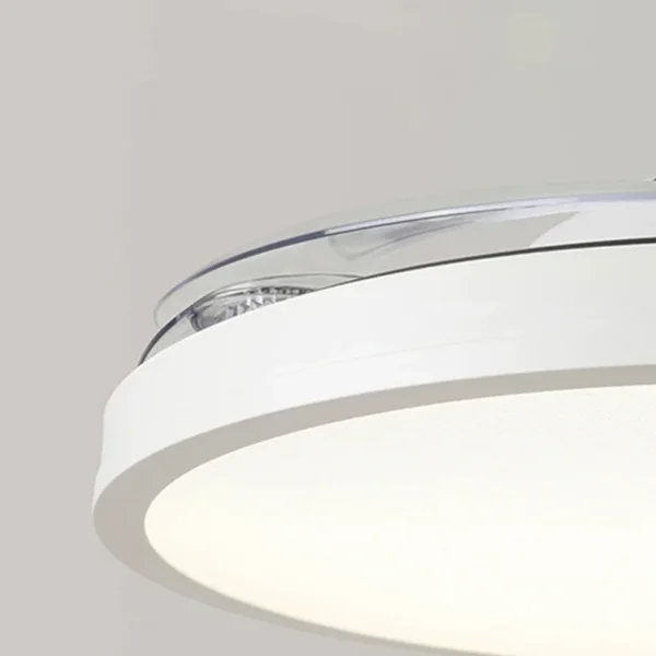 Ceiling Fan, LED, AC220V, 90W - view 4