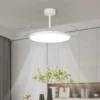 Ceiling Fan, LED, AC220V, 90W - view 5