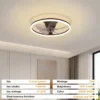 Ceiling Fan, LED, APP, BLDC - view 6
