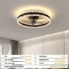 Ceiling Fan, LED, BLDC - view 6