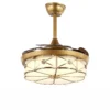 Ceiling Fan, LED, Copper+PC - view 5