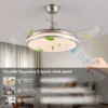 Ceiling Fan, LED, D0100XFARXU - view 5