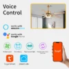 Ceiling Fan, LED, HC511 - view 2