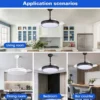 Ceiling Fan, LED, Iron + Splint - view 2