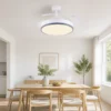 Ceiling Fan, LED, Metal+Plastic blades - view 3