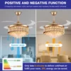 Ceiling Fan, LED, SJ - view 3