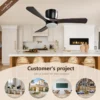Ceiling Fan, LED, W2352P373500 - view 2
