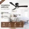 Ceiling Fan, LED, W2352P373500 - view 3