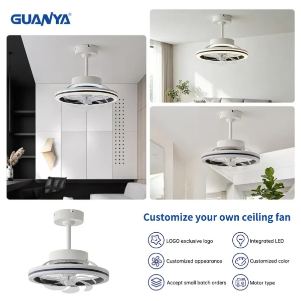 Ceiling Fan, LED, WD450006 - view 6