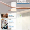 Ceiling Fan, Metal+Solid Wood, 6 Speed Choice - view 2
