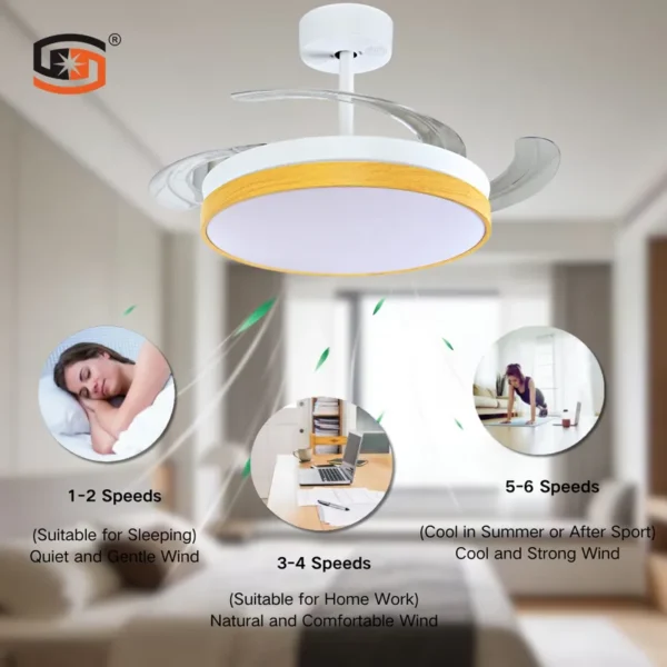 Ceiling Fan, SD-CF001 - view 3