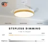 Ceiling Fan, SD-CF001 - view 4
