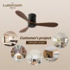 Ceiling Fan, USA, 35W, Solid Wood + Metal - view 4