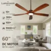 Ceiling Fan, USA, W2352P316286