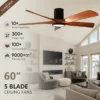 Ceiling Fan, W2352P328922