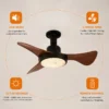 Ceiling Fan, Wall, FS-3Y-R635
