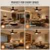 Ceiling Fan, Wall, FS-3Y-R635 - view 4